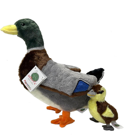 13" Standing Reed The Mallard Duck with Duckling Plush